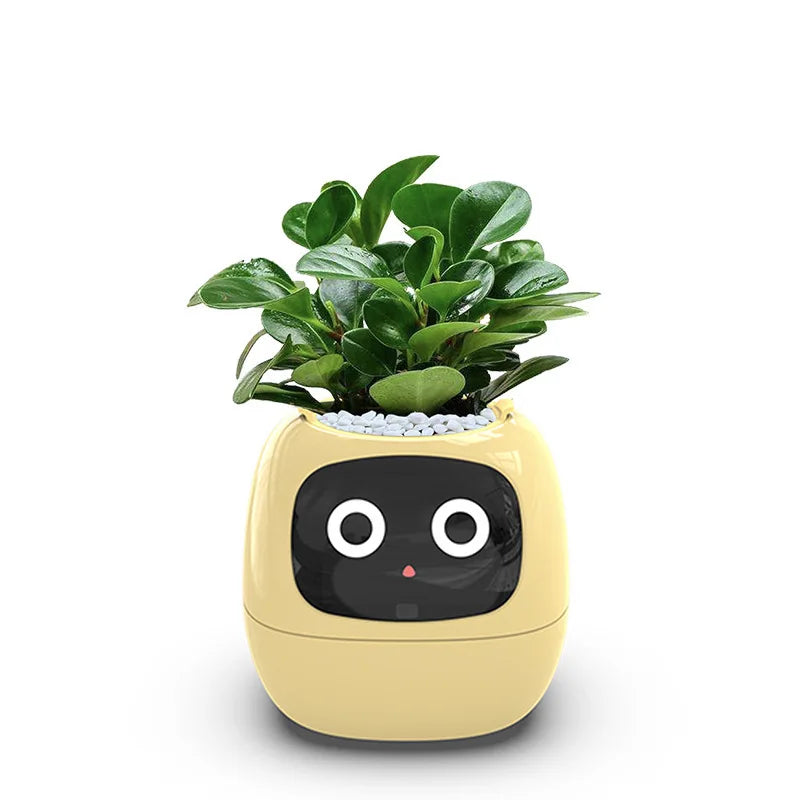Ivy Smart Planter Endless Fun over 49 Rich Expressions 7 Smart Sensors and AI Chips Make Raising Plants Easy and Fun